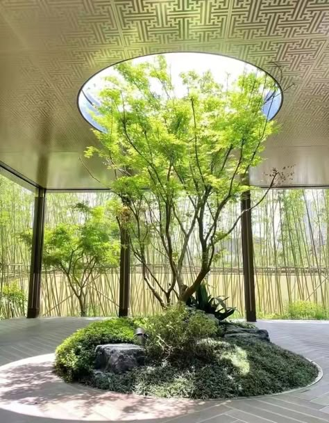 Outdoors Indoors, Interior Tree, Courtyard Garden Design, Indoor Landscape, Interior Landscape, Interior Landscape Design, Japanese Atrium Garden, Indoor Trees Architecture, Indoor Landscape Design