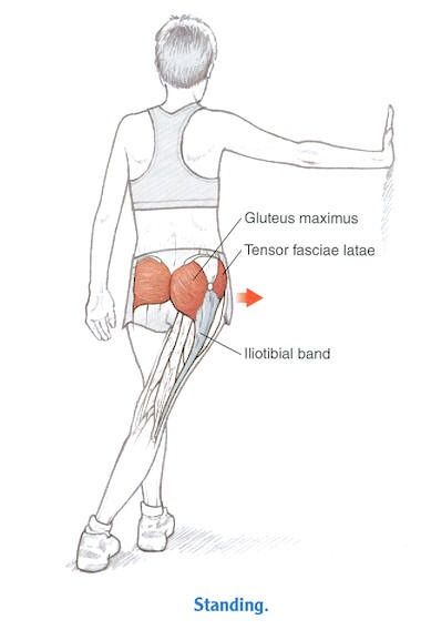 ITB stretch Snapping Hip Syndrome, Hip Anatomy, Bursitis Hip, Massage Therapy Business, Hip Pain Relief, Sciatica Exercises, Piriformis Syndrome, Back Stretches For Pain, Muscle Anatomy