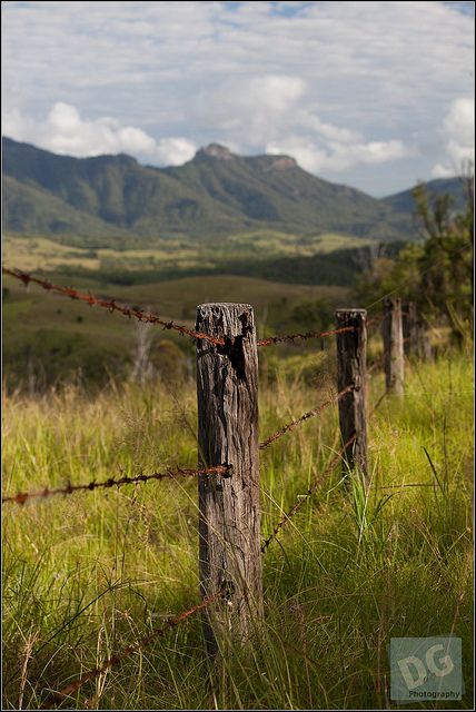 old fences | Old fence | Flickr - Photo Sharing! Old Fences And Gates Rustic, Rustic Fences, Hope County, Watercolor Wallpaper Iphone, Country Fences, Rustic Fence, Gates And Fences, Iphone Wallpaper Glitter, Old Fences