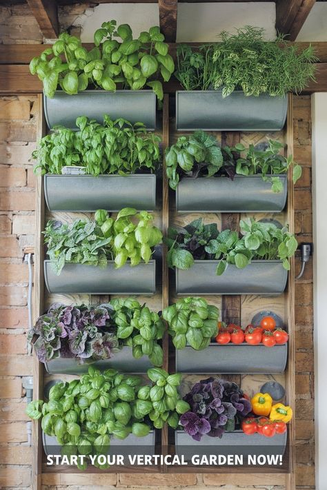 How to Start a Vertical Garden Verticle Gardening Vegetables, Garden Well, Vertical Vegetable Gardens, Climbing Trellis, Garden Paradise, Vertical Gardening, Green Oasis, Drip Irrigation System, Tower Garden