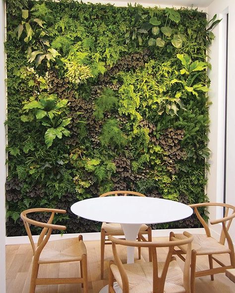 Indoor vertical garden and living wall by PlantWallDesign – Plant Wall | New York Indoor Living Wall, Vertical Garden Indoor, Vertical Vegetable Garden, Vertical Garden Wall, Building A Pergola, Vertical Herb Garden, Vertical Gardening, Pergola Design, Garden Solutions