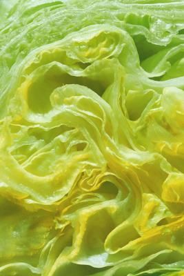 Does Iceberg Lettuce Have Any Nutritional Value? | LIVESTRONG.COM Iceberg Lettuce Recipes, Iceberg Wedge Salad, Wedge Salad Recipes, Lettuce Wedge, Kidney Friendly Diet, Lettuce Recipes, Wilted Lettuce, Wedge Salad, Head Of Lettuce