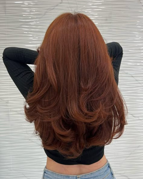 Auburn Hair With Curtain Bangs, Cool Tone Auburn Hair, Cool Auburn Hair, Burnt Sienna Hair, Cowgirl Cooper, Bob Hairstyles Red Hair, Soft Auburn Hair Color, Auburn Hair Highlights, Rich Auburn Hair Color