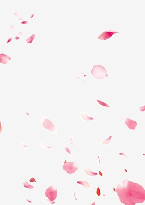 Rose Flower Png, Pink Flowers Background, Flower Pedals, Book Cover Design Inspiration, Romantic Background, Flowers Background, Sunset Background, Wedding Petals, New Background Images