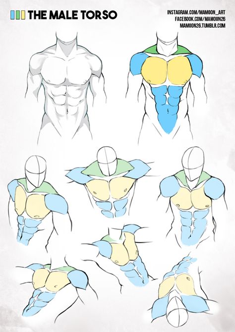 simplified anatomy 01 - male torso by mamoonart.deviantart.com on @DeviantArt Male Figure Drawing, Modeling Poses, Man Anatomy, Human Anatomy Drawing, Male Torso, Human Figure Drawing, Human Anatomy Art, Anatomy Sketches, Body Reference Drawing