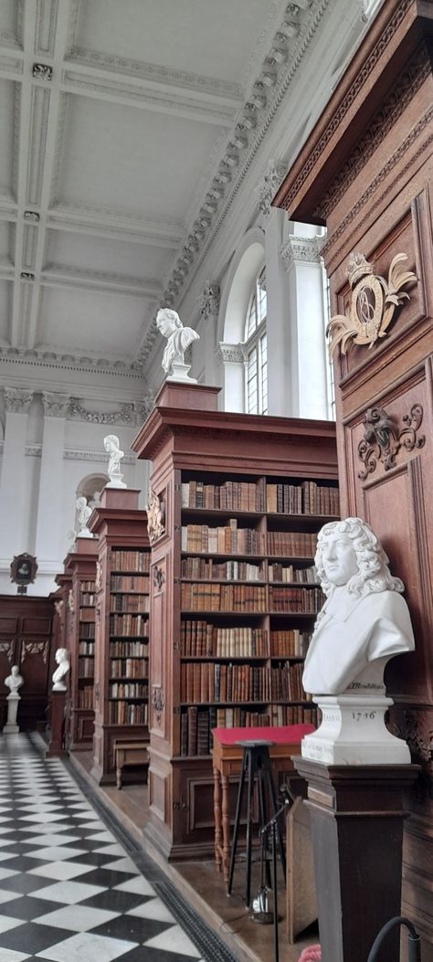 Library aesthetic, dark academia, Cambridge University Cambridge Motivation, Library Aesthetic Dark Academia, Cambridge University Aesthetic, Library Aesthetic Dark, Serpentine Valentine, Academics Aesthetic, Dark Academia University, Academic Core, Library Cambridge