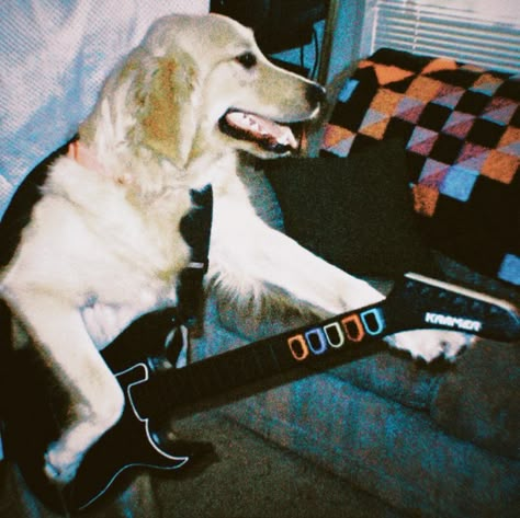 Itunes Playlist, American Funny Videos, Rap Playlist, Playlist Covers Photos, Music Cover Photos, Cover Wallpaper, Funny Animal Photos, Music Album Covers, Guitar Hero