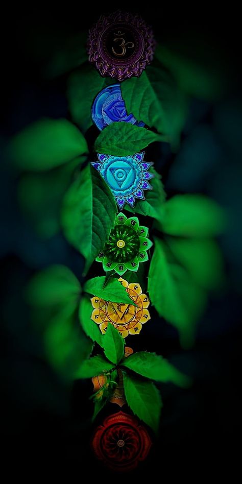 Chakras (1080x2160) 7 Chakras Wallpaper Iphone, 7 Chakras Wallpaper, Chakras Wallpaper, Chakra Meditation Art, Buddha Wallpaper Iphone, Zen Wallpaper, Attractive Wallpapers, Amoled Wallpapers, Chakra Art