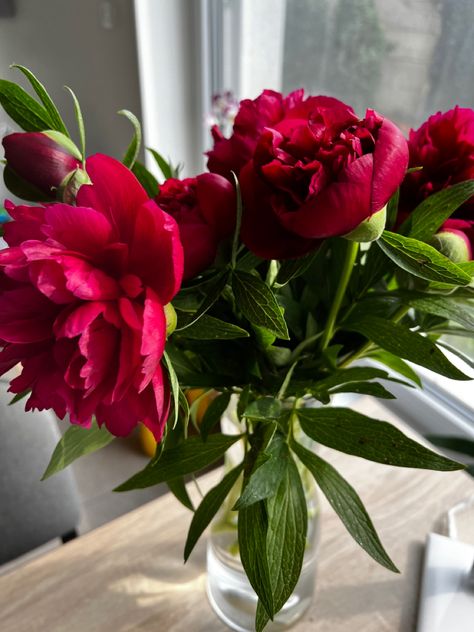 #pink #flowers #home #nature #peony #pinkpeony Red Peony Arrangement, Peonies Red, Peonies Dark Aesthetic, Dark Red Peonies, Magenta Peonies, Dark Pink Peonies, Peonies Dark Pink, Red Peonies, Pink Peonies