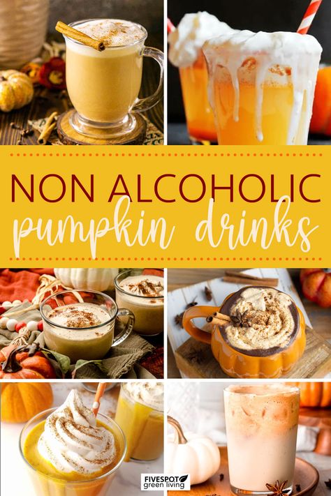 Non Alcoholic Pumpkin Drink Recipes Non Alcoholic Pumpkin Drinks, Pumpkin Drinks Nonalcoholic, Pumpkin Mocktail Recipe, Fall Non Alcoholic Drinks, Non Alcoholic Fall Drinks, Fall Mocktail Non Alcoholic, Fun Fall Drinks, Apple Pie Punch, Refresher Drinks