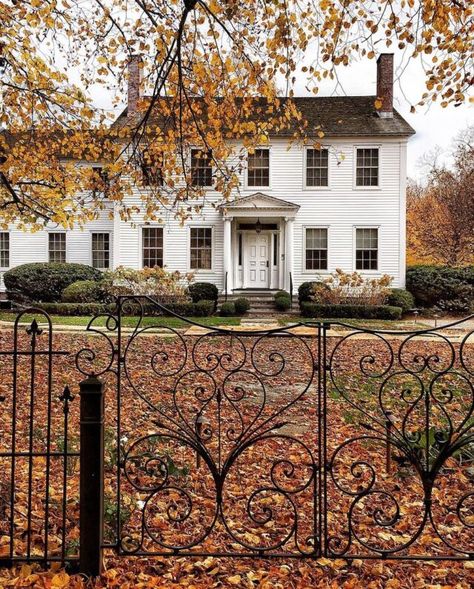 Sunday's Swoon Worthy Styles- Colonial Home Style Front Doors Painted Black, Subtle Fall Decor, Diy King Headboard, Powder Room Renovation, Diy Roman Shades, Equestrian Home, Black Front Doors, Wrought Iron Gate, American Farmhouse