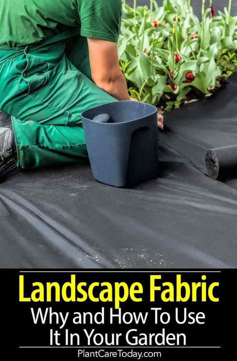 Landscape fabric is a great way to prevent unwanted weeds from creeping into your garden, but is it for everyone? Read on to discover the pros and cons of using landscape fabric. Using Landscape Fabric In Garden, Landscape Fabric In Vegetable Garden, Garden Fabric, Landscaping With Large Rocks, Garden Weeds, Homestead Gardens, Hanging Succulents, Rock Garden Landscaping, Better Homes And Garden