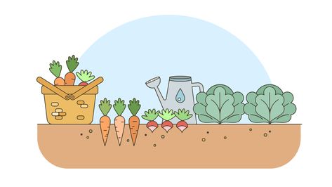 Vegetables Garden Vector. Choose from thousands of free vectors, clip art designs, icons, and illustrations created by artists worldwide! Garden With Vegetables, Veggie Farm, Patch Illustration, Vegetables Drawing, Garden Cartoon, Vegetable Drawing, Vegetables Garden, Garden Clipart, Plant Icon