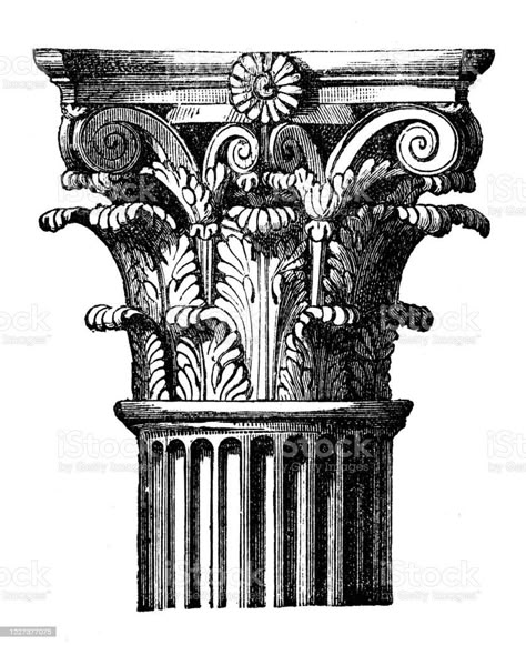 Greece Corinthian Capital. /Nancient Greek Corinthian Capital. Line Engraving Greece Tattoo, Corinthian Capital, Column Capital, Architectural Columns, Greek Columns, Garden Pond Design, Corinthian Column, Roman Columns, Interior Design Resources