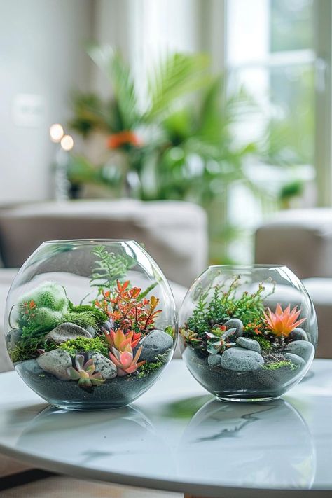 Terrarium Building: A Complete Guide Mini Ecosystem, Tropical Terrariums, Open Terrariums, Terrarium Ideas, Goldfish Bowl, Mini Terrarium, Terrarium Containers, Farmhouse Landscaping, Plant Projects