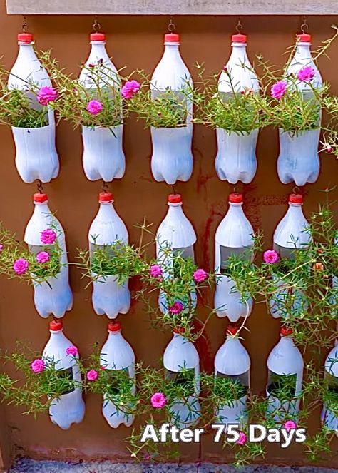 Moss-rose Purslane, Diy Vertical Garden, Indoor Plant Trellis, Plastic Bottle Planter, Patio Gardens, Design Garden Ideas, Flower Places, Diy Plastic Bottle, Plastic Bottle Art