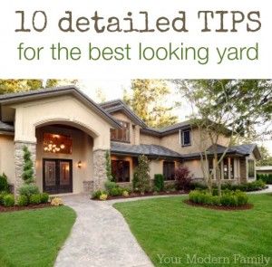 green lawn care tips to have the best looking lawn! Completed Bucket List, Bucket List Items, Lawn Care Tips, The Bucket List, Bucket List Ideas, Green Lawn, Bucket Lists, List Ideas, My Bucket List