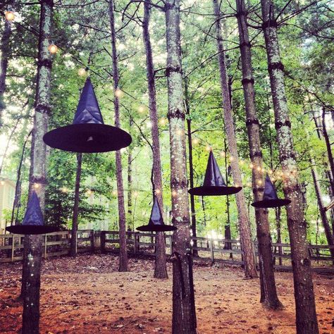 Have fun in the trees this Halloween!!! Hang witches hats and black or orange lights throughout. Throw some glitter or glow stick goo all over for a creepier look. Backyard Party Decorations, Halloween Camping, Hocus Pocus Party, Witches Hats, Halloween Eve, Theme Harry Potter, Diy Halloween Decor, Halloween 2015, Theme Halloween