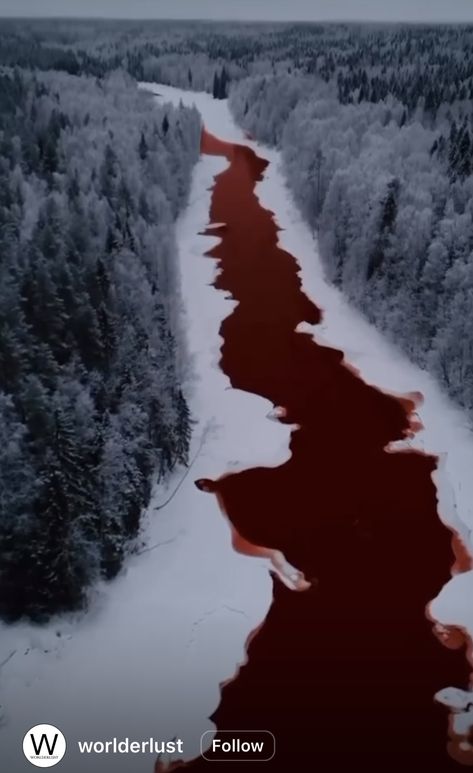 Blood On Snow, Art Bizarre, Filmy Vintage, Arte Peculiar, Red Water, Blood Art, 다크 판타지, Red River, Blood Red