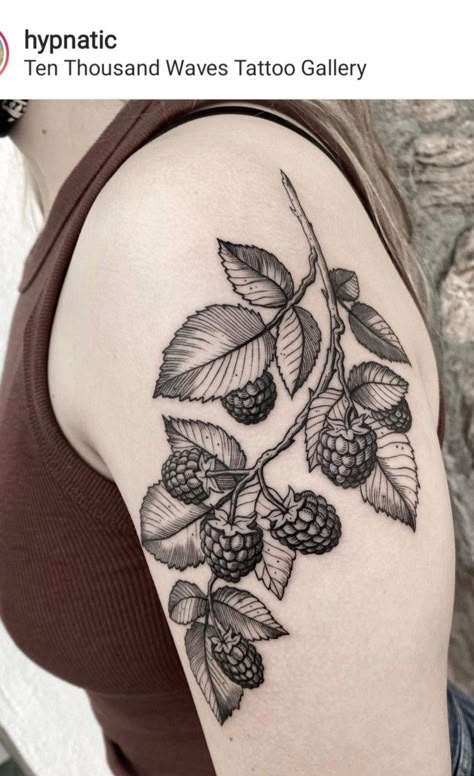 Blackberry Collar Bone Tattoo, Cloud Berry Tattoo, Hip Tattoo Botanical, Loquat Tattoo, Fine Line Berry Tattoo, Elderberry Tattoo, Blackberry Tattoo Design, Raspberry Leaf Tattoo, Mulberry Tattoo Black And White