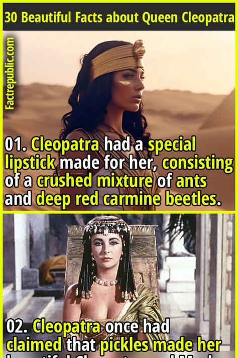 Cleopatra Facts, Cleopatra Quotes, Weird History Facts, African History Facts, World History Facts, Queen Cleopatra, Ancient Queen, Ancient Egypt History, Ancient History Facts