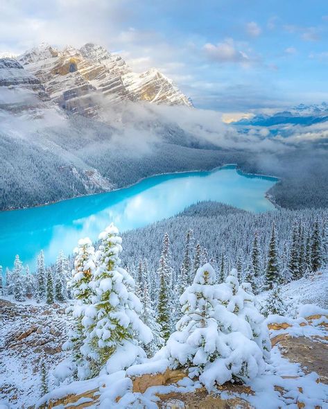 Nature Backgrounds Iphone, Canada Snow, Experiential Art, Peyto Lake, Winter Landscape Photography, Canada Photography, Snow Photography, Snow Trip, Scenery Photography