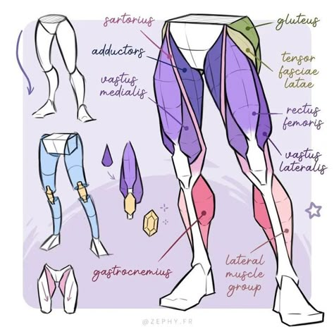 Leg Anatomy, Drawing Legs, Anatomy Tutorial, Human Anatomy Drawing, Body Drawing Tutorial, Human Anatomy Art, Anatomy Sketches, Anatomy Poses, Body Reference Drawing