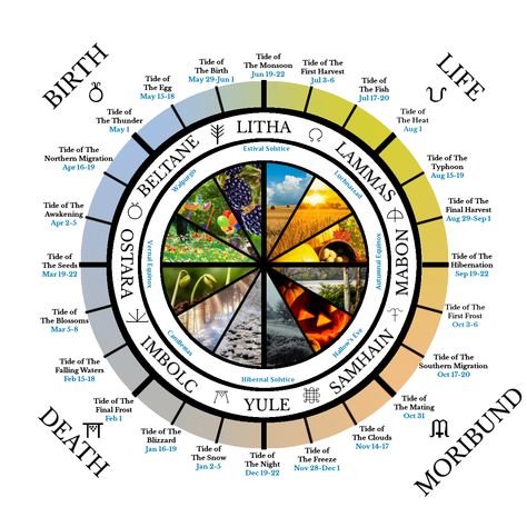 Naturalistic pagan lunisolar wheel of time and life with ostara, beltane, litha, lammas, mabon, samhain, yule, and imbolc. Pagan Calendar Wheels, Naturalistic Paganism, What Is Paganism, Celtic Wheel, Witches Wheel, Pagan Calendar, Green Witchcraft, Sacred Science, Viking Life