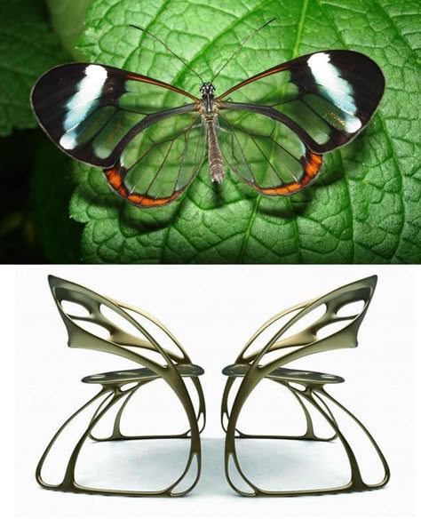 Biomimicry Examples, Biomimicry Design, Bio Design, Atelier Design, Bedroom Minimalist, Elegant Chair, Design Engineering, Loft Design, Butterfly Chair