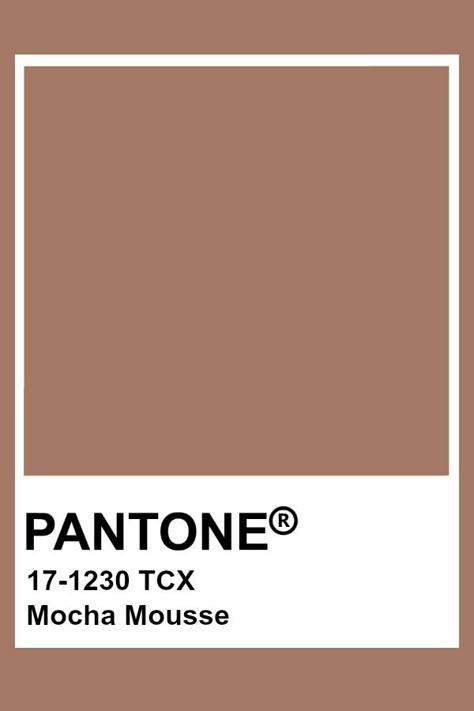 Pantone Mocha Mousse Mocha Mousse Pantone Interior, Mocha Mousse Color Of The Year 2025, Mocha Mousse Paint Color, Mocha Mousse Colour, Mocha Mousse Color Pantone, Mocha Mousse Colour Palette, Mocha Mouse Pantone, Mocha Mousse Color Pantone 2025, Mocha Colour Palette