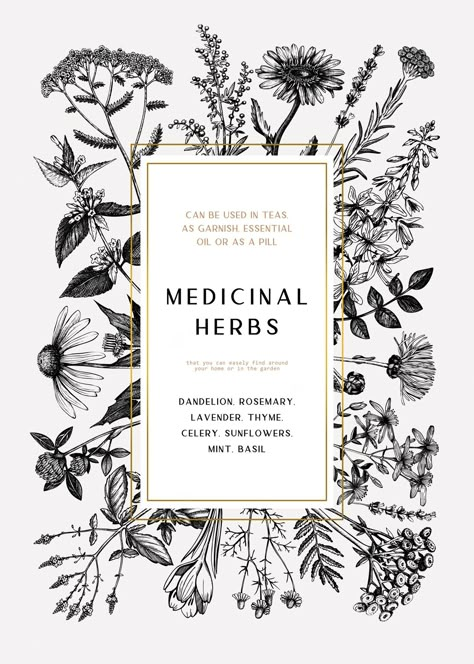 Botanical Background, Herbs Illustration, Herb Labels, Medical Herbs, Summer Plants, Tea Packaging, Hand Drawn Flowers, Floral Elements, Botanical Drawings