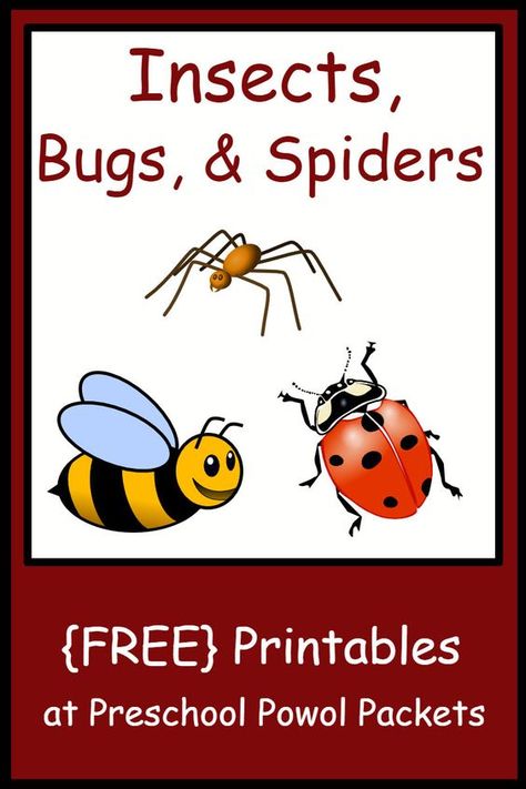 Free preschool printables!! Includes worksheets and activities, life cycles, playdough mats, letters, and much more for insect, bug, spider, ladybug, butterfly, worm, and other litter critter preschool themes!  ALL FREE!! Spiders Preschool, Honey Bee Life Cycle, Insect Study, Printables Preschool, Bee Life Cycle, Meaningful Activities, Bug Design, Bug Activities, Mini Beasts