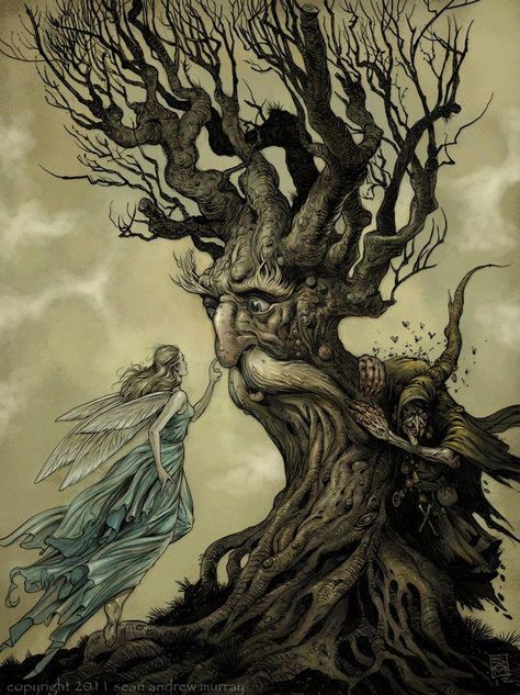 Talking Trees Tree People, Arthur Rackham, Tree Spirit, Nature Spirits, Fantasy Images, Fairytale Art, Arte Fantasy, Fairy Art, Magical Creatures