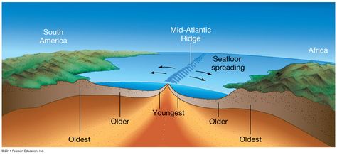 Seafloor Spreading Theory, Oceanic Ridge, Continental Drift Theory, Seafloor Spreading, Plate Tectonic Theory, Convection Currents, Rational Expressions, Continental Drift, Floor Planner