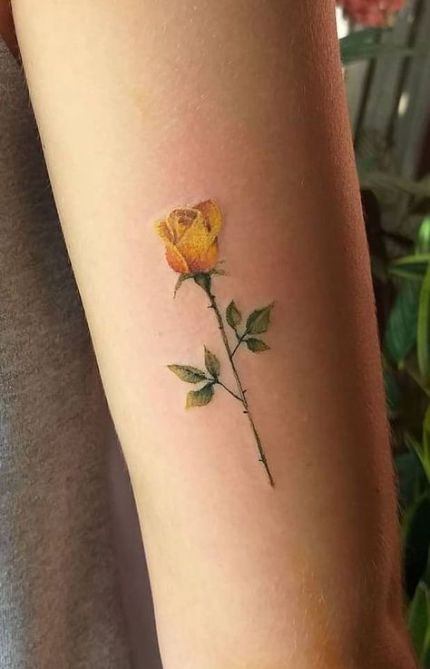 Realistic Yellow Rose Tattoo, Flowers Roses Tattoo, Yellow Rose Watercolor Tattoo, Yellow Tea Rose Tattoo, Yellow Rose Tattoo Small Memorial, Rose Tattoo Yellow, Dainty Yellow Rose Tattoo, Golden Rose Tattoo, Yellow Rose Bouquet Tattoo