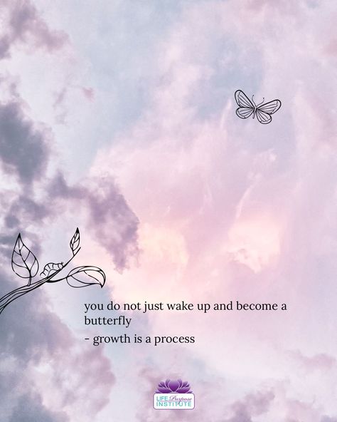 You do not wake up and become a butterfly...growth is a process.   Be patient. Trust the process 🦋 Growth Is A Process Quote, Perhaps The Butterfly Is Proof, Trust The Process Tattoo, Butterfly Growth Quotes, Butterfly Growth, Growth Is A Process, Butterfly Transformation Quotes, A Girl Should Be Like A Butterfly Quote, Mariposa Butterfly