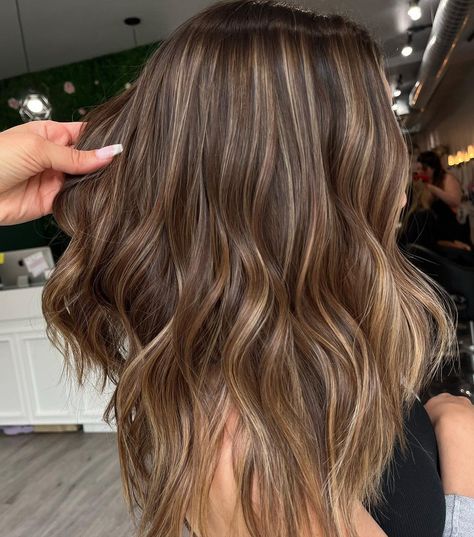 Light Brown Hair With Blended Highlights, Highlights Brown Hair Partial, Very Little Highlights Brown Hair, Blonde Hilights In Brown Hair, Brunette Honey Blonde Highlights, Natural Highlights In Brown Hair, Blonde Highlights On Brown Hair Inspo Pics, Cute Highlights On Brown Hair, Brown Hair With Soft Blonde Highlights