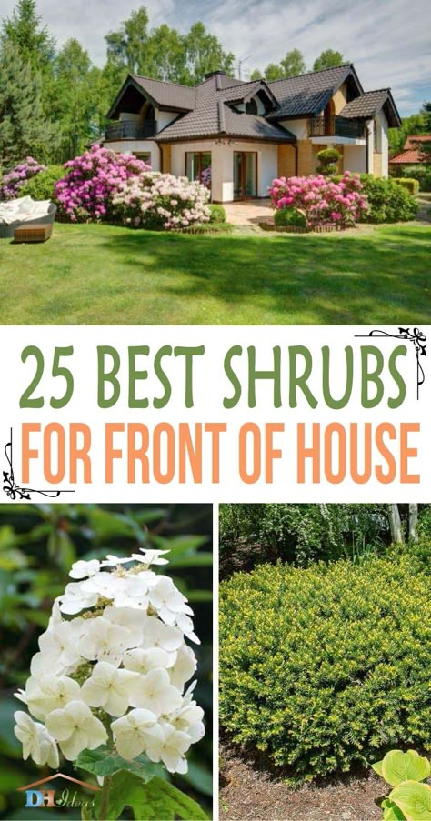 Landscape Ideas Front Yard Curb Appeal, Shrubs For Landscaping, Garden Escape, Front Yard Plants, Front Yards Curb Appeal, Small Front Yard Landscaping, Front Yard Garden Design, Front Yard Landscaping Plans, Front Landscaping