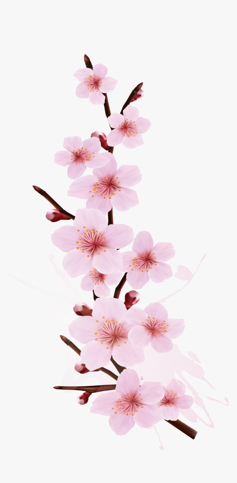 Art Inspo Aesthetic Sketch, Paint On Canvas Easy, Cool Paintings Ideas, Canvas Art Simple, Simple Things To Paint, Paintinting Ideas, Cherry Blossom Png, Tattoo Cherry Blossom, Things To Paint On Canvas