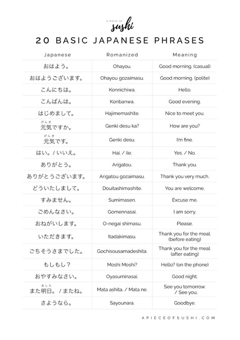 20 Basic Japanese Phrases for Beginners + Free Printable PDF + Audio Hiragana Words Japanese Phrases, Japanese Words For Beginners, Japanese Notes For Beginners, Hiragana Phrases, Best Anime For Beginners, Katakana Words Japanese Phrases, Japanese Words Learning Basic, Basic Japanese Words And Phrases, Japanese Words And Phrases