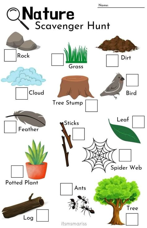 Summer Nature Activities Preschool, Forest Theme Art Preschool, Nature Walk Scavenger Hunt Preschool, Nature Play Preschool, Preschool Nature Walk, Nature Crafts Kindergarten, Hiking Preschool Activities, Summer Camp Nature Activities, Bush Kinder Activities