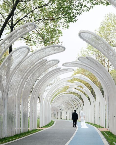 A wandering dragon-like Emerald Screen Pergola by Wutopia Lab @wutopia.lab 🔗 https://www.amazingarchitecture.com/park/a-wandering-dragon-like-emerald-screen-pergola-by-wutopia-lab Photography: CreatAR lmages @creatarimages In March 2024, Wutopia Lab’s wandering dragon-like Emerald Screen Pergola was officially unveiled at Bogong Island Ecology Park in Wuxi, China.The Emerald Screen Pergola is an important architectural feature in classical Chinese gardens. It is typically constructed fro... Screen Pergola, Chinese Garden Design, Corridor Design, Urban Landscape Design, Chinese Garden, Architecture Design Concept, Shade Structure, Climbing Plants, Roof Design