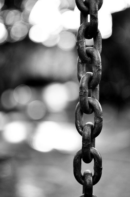 Chained to Desire- the sweeties thing-by Luke Reynolds @✔ b l a c k w h i t e Macro Fotografie, Photo Macro, Black And White Photograph, Foto Art, Trik Fotografi, Black And White Aesthetic, Black And White Photos, White Picture, Depth Of Field