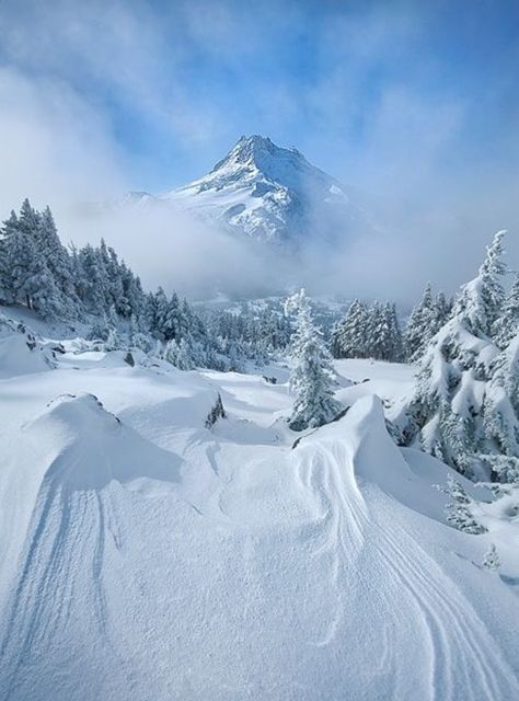 Beautiful Snow, I Love Snow, Winter Schnee, Beautiful Places On Earth, Winter Magic, Winter Scenery, Snow Mountain, Winter Beauty, Salt Dough