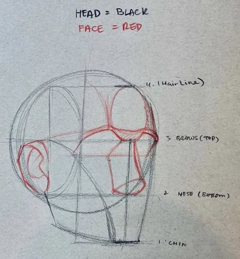 Head Studies Art Reference, Side Profile Guidelines, Face Diagram, Faces Tutorial, Loomis Method, الفن الرقمي, 얼굴 드로잉, Drawing Tutorial Face, Human Anatomy Drawing