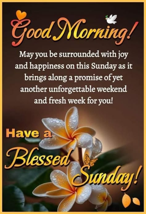 Tuesday Morning Quotes, Blessings Sunday, Good Morning Saturday Wishes, Sunday Morning Prayer, Blessed Sunday Morning, Sunday Sunrise, Inspirational Morning Prayers, Quotes Sunday, Happy Sunday Images