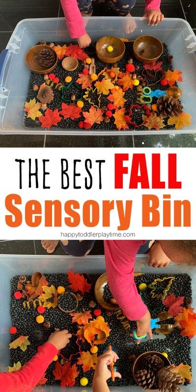 fall sensory bins for toddlers and preschoolers Crafts With Toddlers, Sensory Bins For Toddlers, Fall Sensory Bin, Fall Activities For Toddlers, Fall Sensory, Toddler Sensory Bins, Halloween Sensory, Fall Preschool Activities, Sensory Crafts