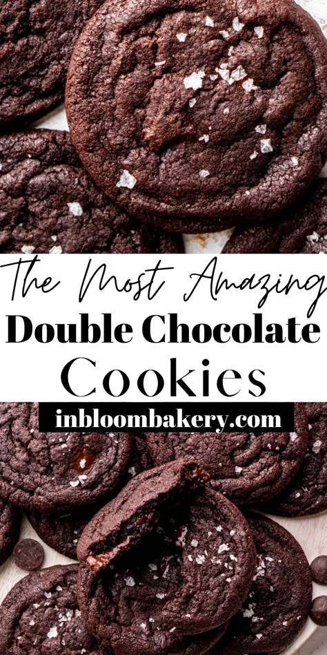 Choc Cookies With Cocoa, Salted Double Chocolate Chip Cookies, Double Chocolate Sea Salt Cookies, Best Double Chocolate Cookies, Salted Dark Chocolate Chip Cookies, Dark Chocolate Dipped Cookies, Dubble Chocolate Cookies, Double Chocolate Chunk Cookie Recipe, Chocolate Cocoa Cookies