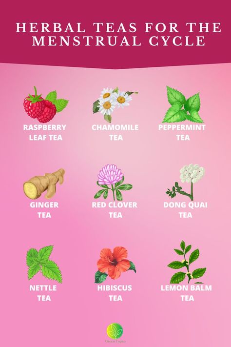 Rasberry Leaf Tea, Menstrual Tea, Raspberry Leaf Tea Benefits, Cycling Food, Kitchen Witch Recipes, Healthy Period, Lemon Balm Tea, Catering Food Displays, Tea Remedies