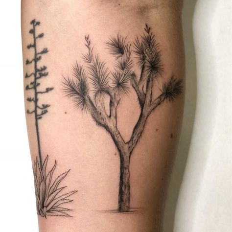 Joshua tree aloe tattoo Desert Bird Tattoo, Joshua Tree Drawing Simple, Line Style Tattoo, Desert Flower Tattoo, Desert Scene Tattoo, Joshua Tattoo, Desert Tattoo Ideas, Joshua Tree Tattoo, August Tattoo